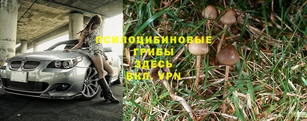 каннабис Белокуриха