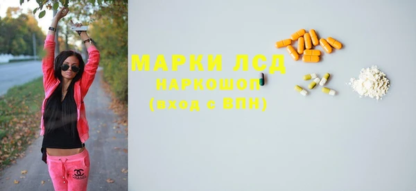 индика Балабаново