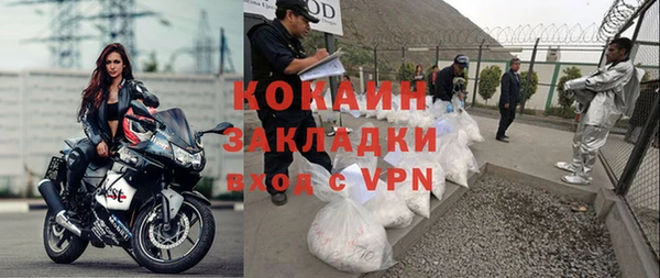 индика Балабаново