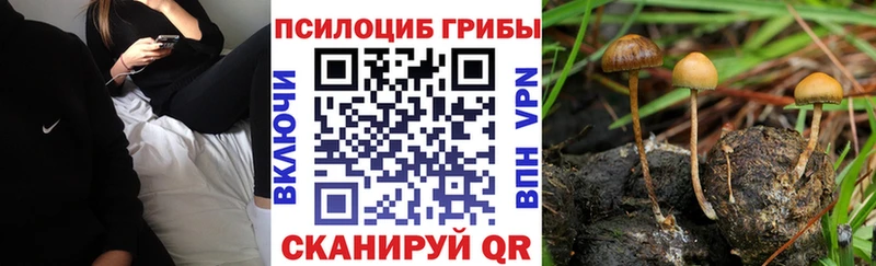 Галлюциногенные грибы прущие грибы Мглин
