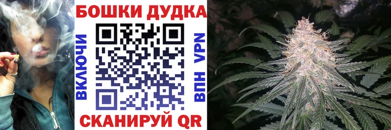 Шишки марихуана сатива  Мглин 